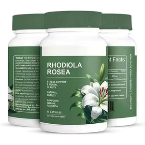 Rhodiola Rosea recupera energía, enfoque y calma mental